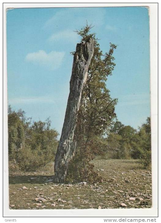 CPSM LE QUERCY PITTORESQUE, AUX ENVIRONS DE LIVERNON, LE MENHIR DE BELINAC, LOT 46 - Livernon