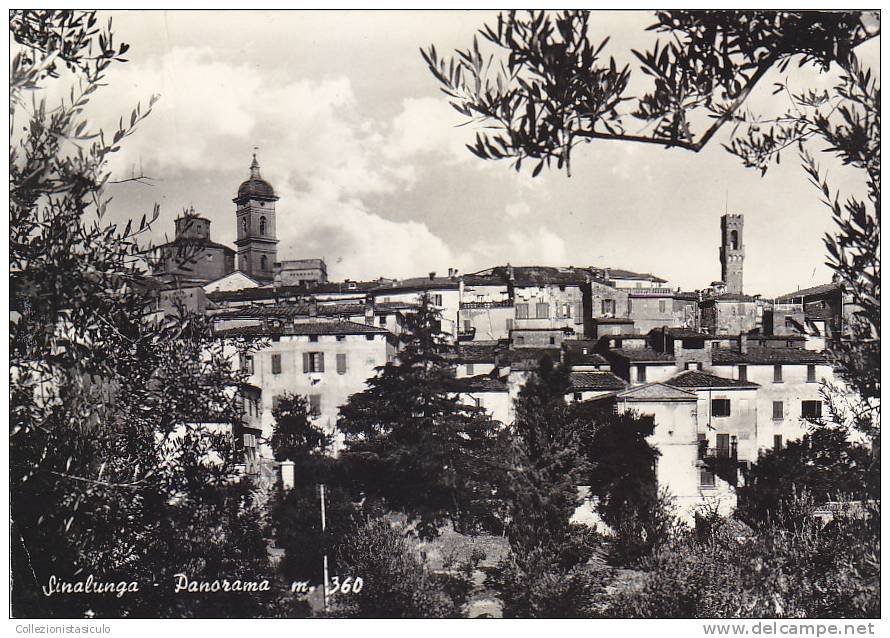 $3-1838- Sinalunga - Panorama - Siena - F.g. Viaggiata - Siena