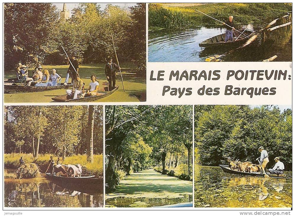 LA VENISE VERTE - Vue Typiques Du Marais Poitevin - S-1 - Poitou-Charentes