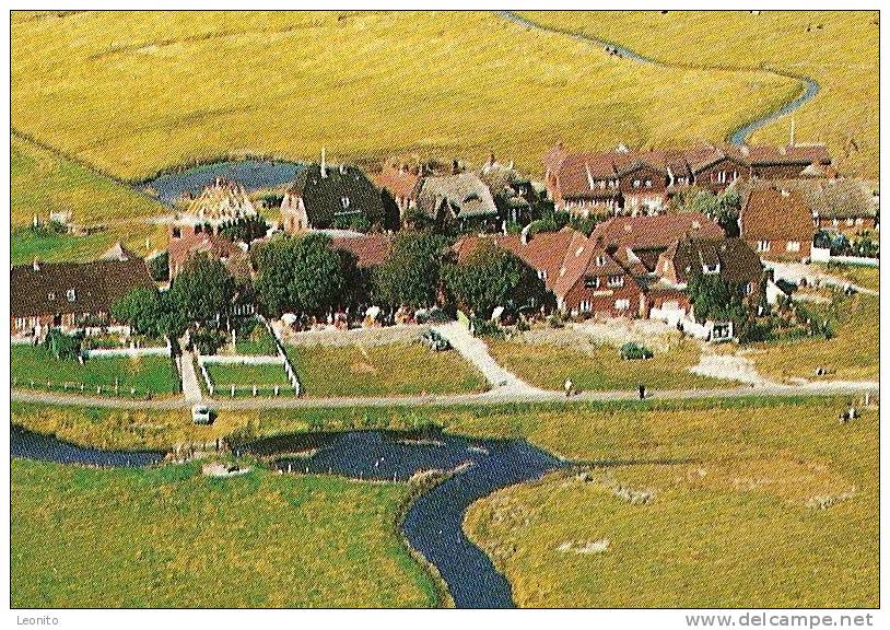 HALLIG HOOGE Backenswarft Luftaufnahme - Elmshorn