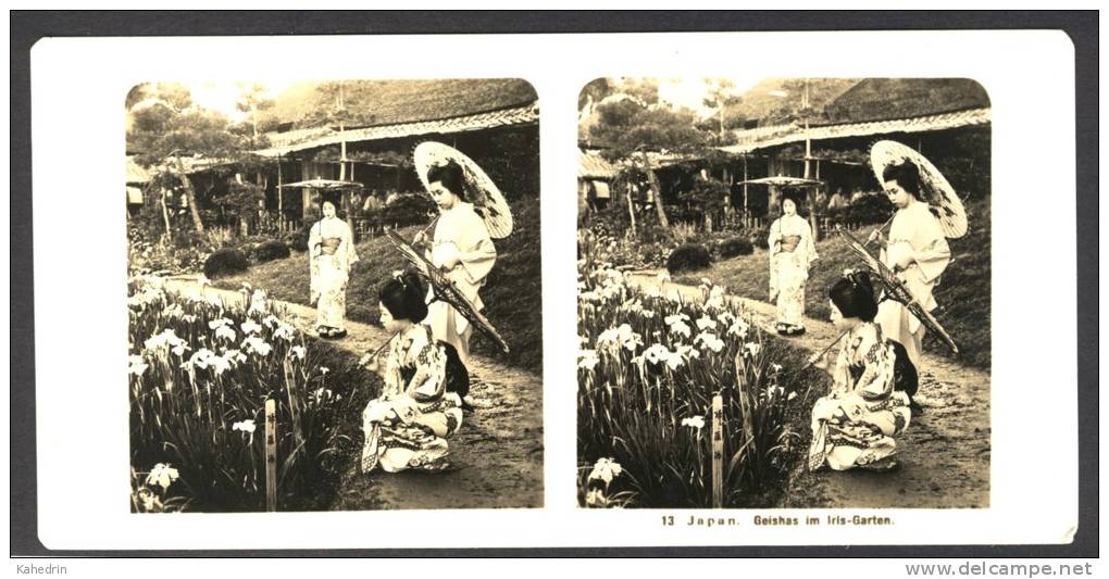 Japan (~1900´s) Girls / Geisha´s In Meiji Jingu Iris Garden - Yokosuka - Horikiri (NPG) - Stereoscoop