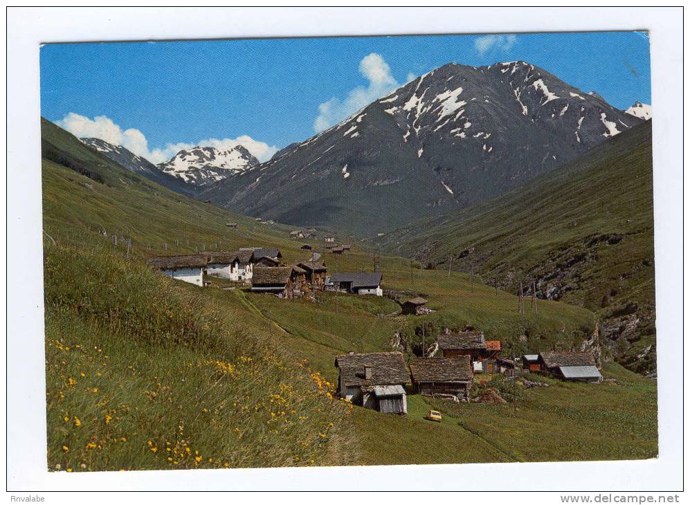 Hochtal Avers (Graubünden) 2000 M ü/M Pürt, Am Bach Und Juppa Mit Dem Wängahorn - Avers