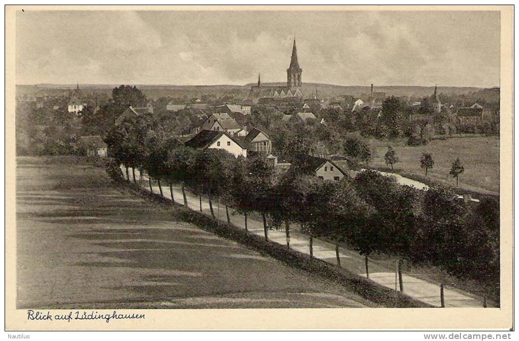 BELLE CARTE POSTALE  " BLICK AUF LUDINGHAUSEN " - Lüdinghausen