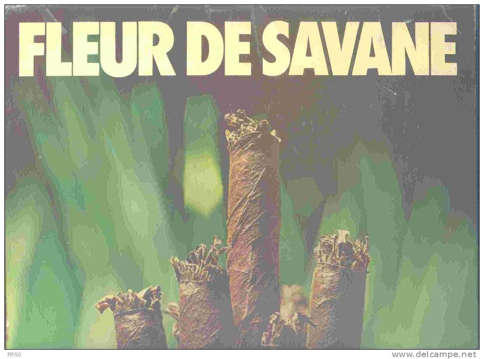 PLV PUBLICITE SUR CARTON FLEUR DE HAVANE CIGARE SEITA - Sonstige & Ohne Zuordnung