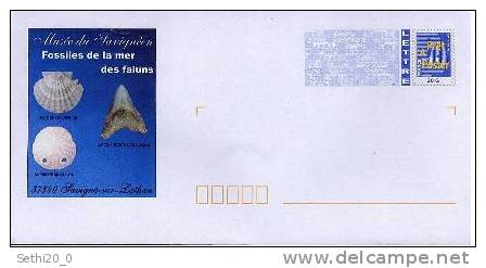 France  PAP  (prepaid Stationery) Shells Prehistory/Prehistoire Coquillages Savigné Sur Lathan - Prehistory