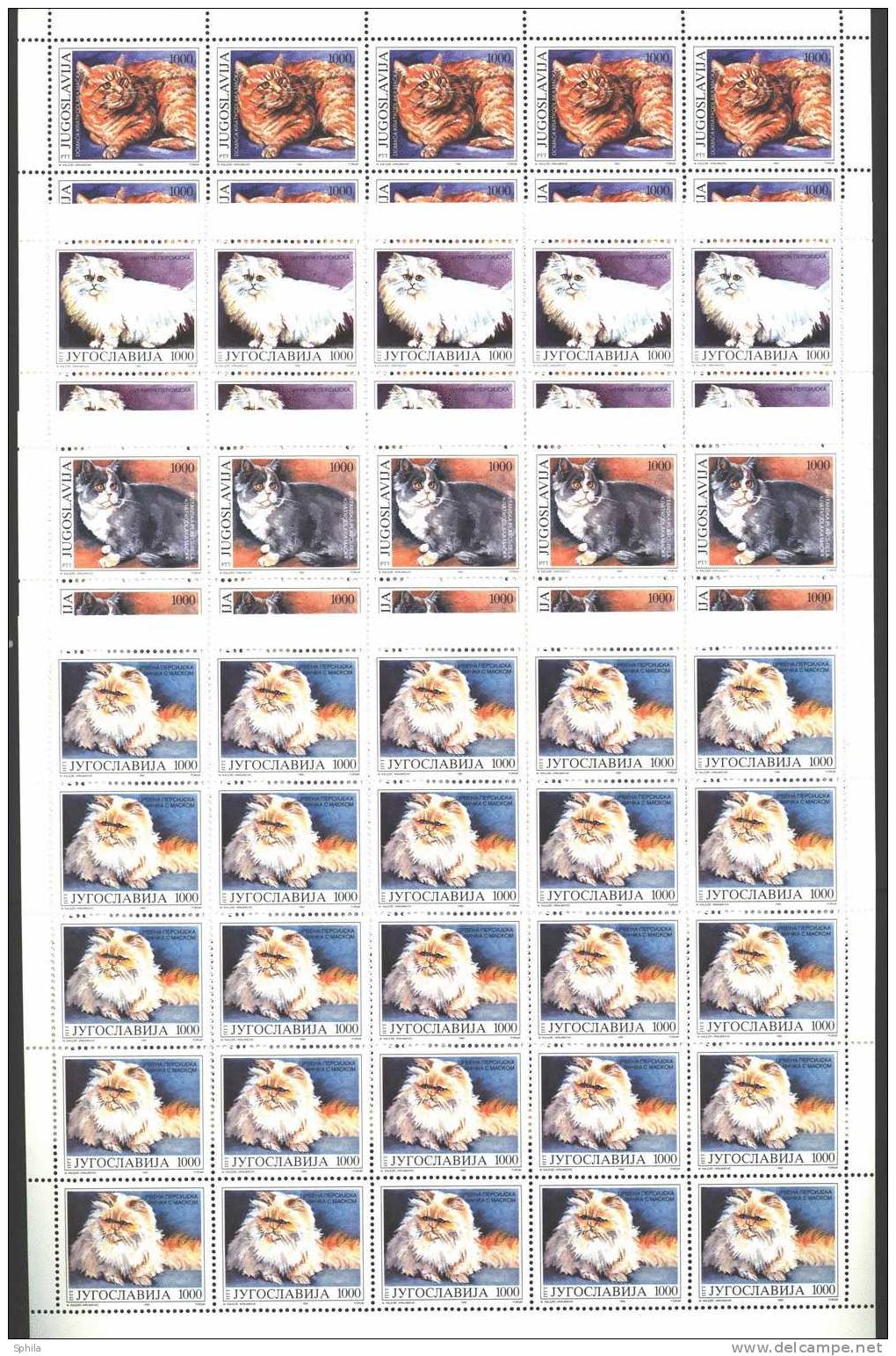 Jugoslawien – Yugoslavia 1992 Animals - Domestic Cats In Full Sheets Of 25 MNH; Michel # 2544-47 - Neufs