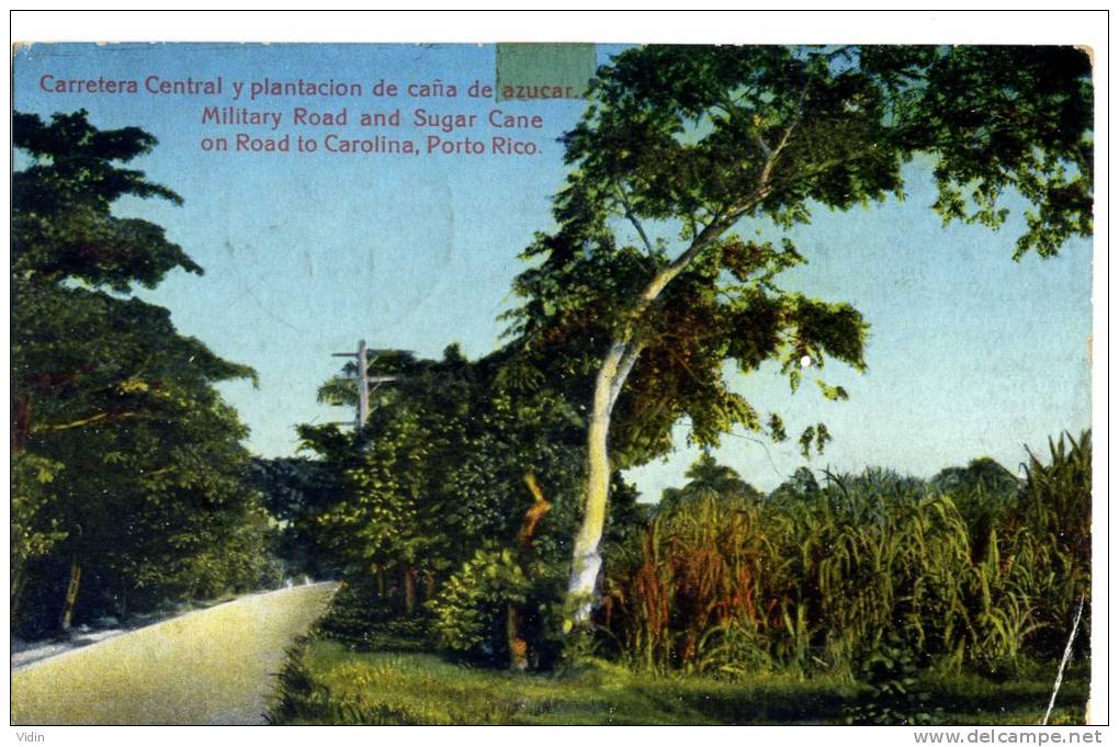 Plantation De Cannes à Sucre Porto Rico - Autres & Non Classés