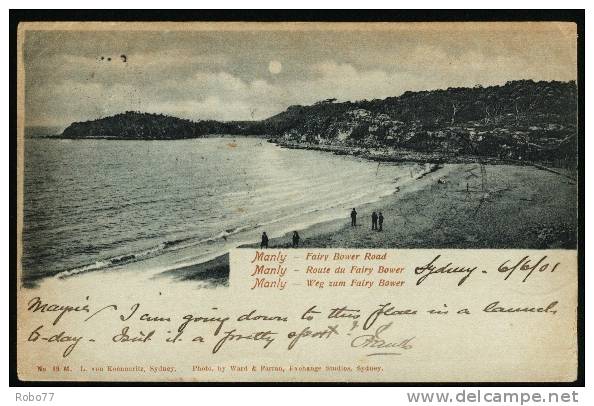 1901 New South Wales Postcard Sent To USA. Sydney Ju.6.01., New York Jul.8., Kiamesha Jul.9.1901. (T30022) - Sydney