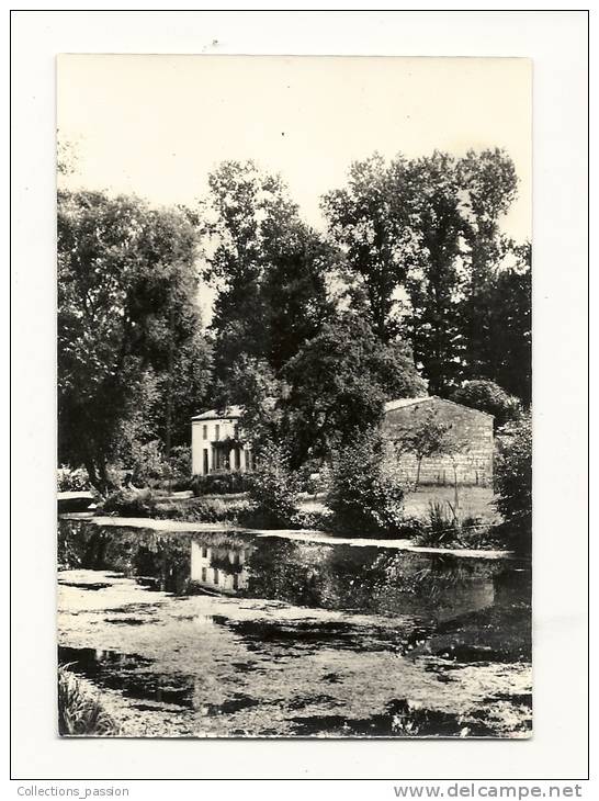 Cp, Poitou-Charentes, Marais Poitevin, Maison Dans Le Marais Passé Coulon - Poitou-Charentes