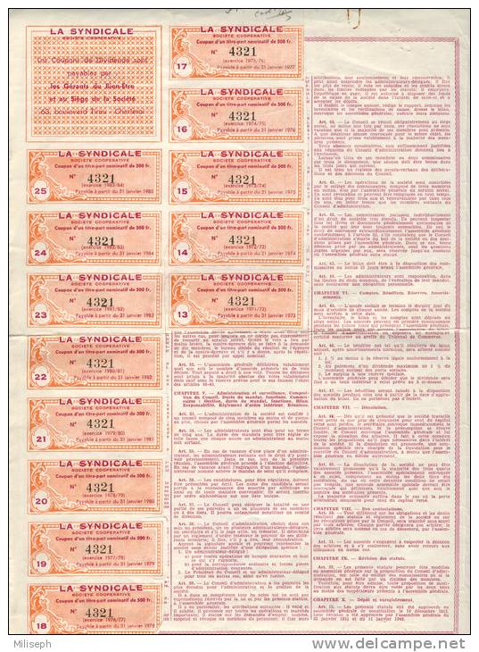 ACTION Nominative 500 Francs - LA SYNDICALE - Charleroi - Couillet - Achats Ventes Fabrication - 1960 -         (1897) - Industrie