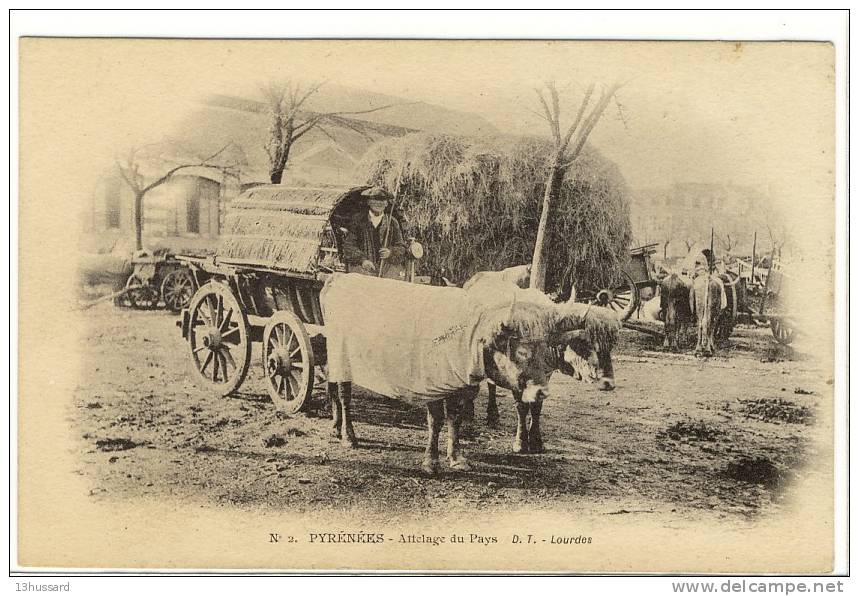 Carte Postale Ancienne Pyrénées -  Attelage Du Pays - Boeufs - Andere & Zonder Classificatie