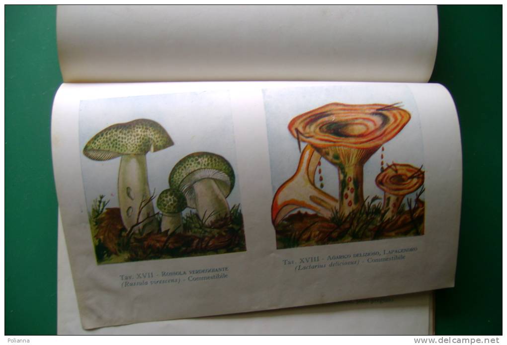 PEN/16 Giovanni Tadini I FUNGHI La Prora 1944/MICOLOGIA/BOTANICA - Gardening