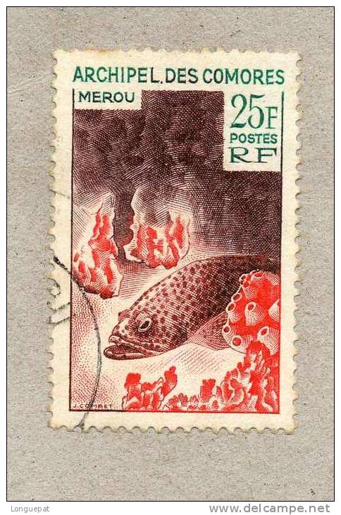 COMORES : Poisson : Le Mérou - Faune Marine - Used Stamps