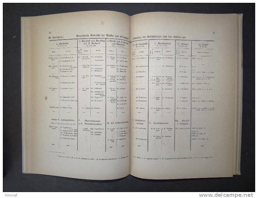 Die Gefäßpflanzen Des Botanischen Gartens Salzburg 1877 Botanik, Wien 132 Seiten - Altri & Non Classificati