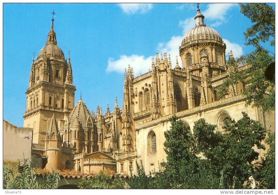 SALAMANCA  Catedral  Nueva Y Vieja  ( 2 Scans ) - Salamanca