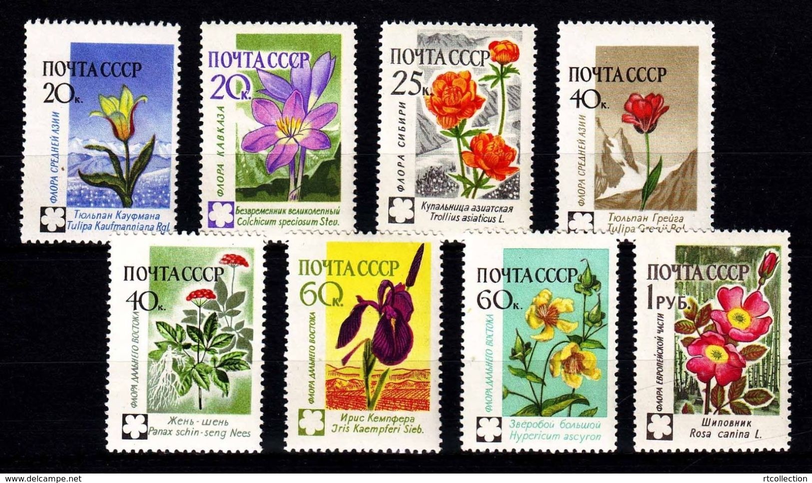 USSR Russia 1960 Soviet Union Flowers Flower Plant Tulip Wild Rose Iris Flora Stamps MNH Michel 2418A-2425A Su 2494-01 - Sammlungen