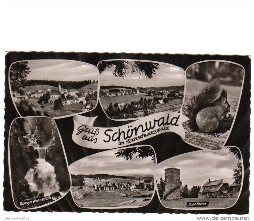 B56224 Schonwald Hochschwarzwald Squarel  Used Perfect Shape Back Scan At Request - Hochschwarzwald