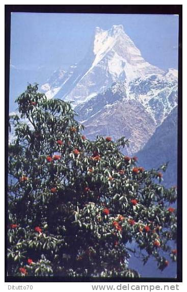 Kathmandu - Nepal - Hotel De L'annapurna - Non Viaggiata - Formato Piccolo - Nepal