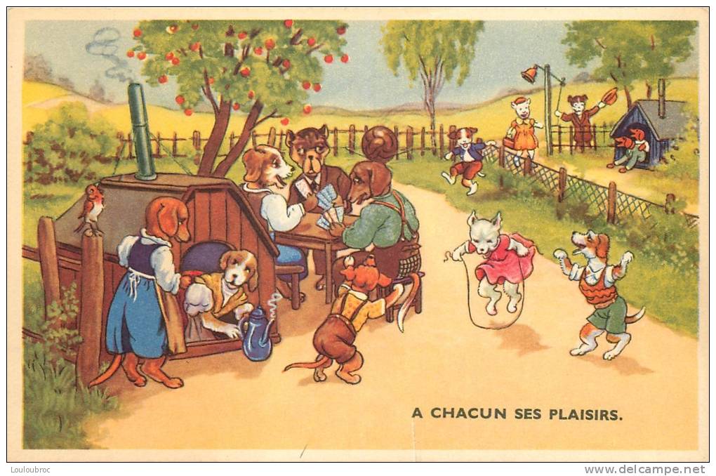 CHIENS HUMANISES A CHACUN SES PLAISIRS - Chiens