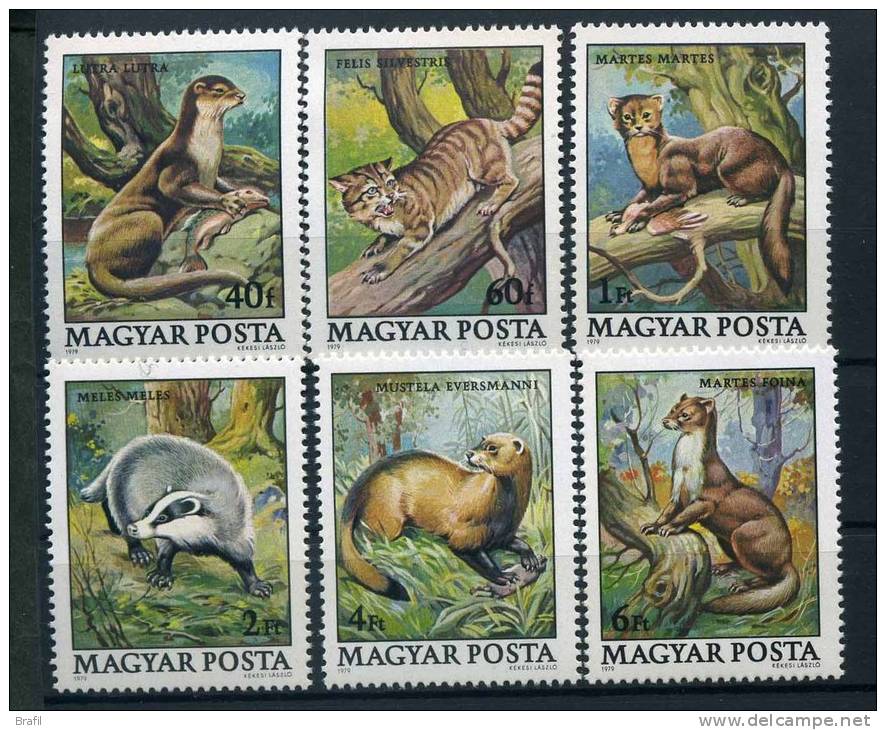 1979 Ungheria, Animali Protetti, Serie Completa Nuova (**) - Neufs