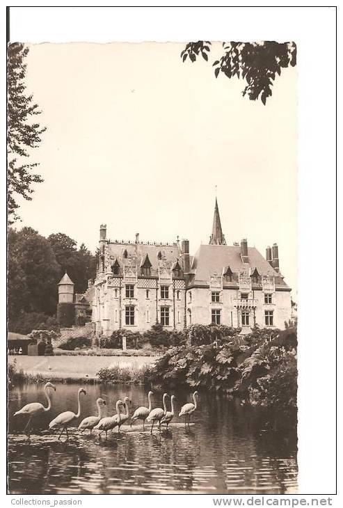 CP, 76, Clères, Parc Zoologique, Façade Du Château Et Flamants Roses, écrite - Clères