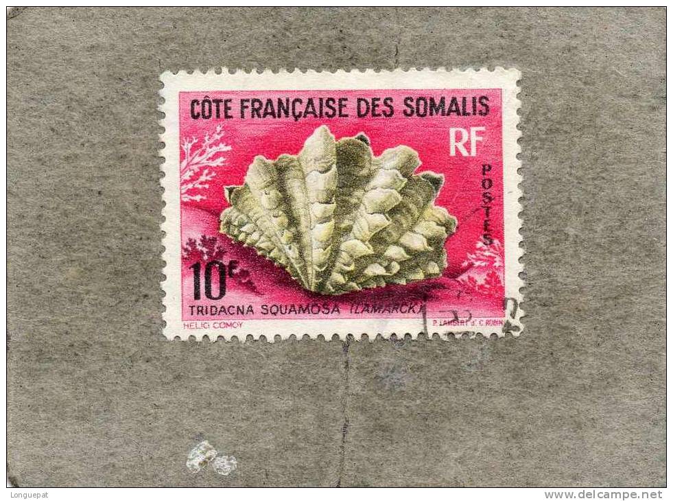 CÔTE Des SOMALIS : Coquillage De La Mer Rouge :  Grand Bénitier Gaufré (Tridacna Squamosa) - - Oblitérés