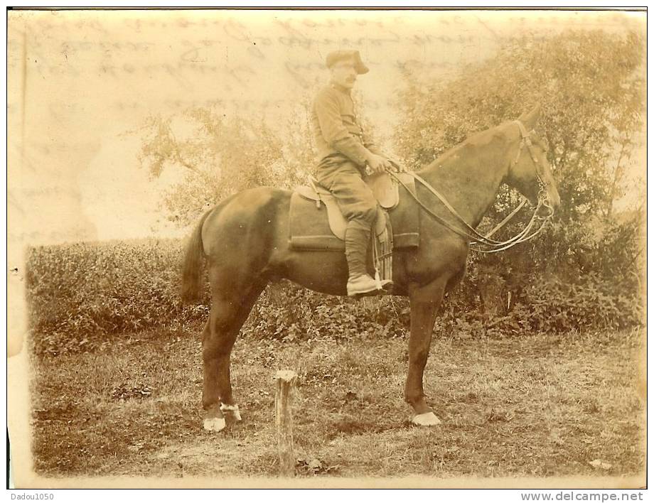 Photo  Militaire 1914 18 - Ohne Zuordnung