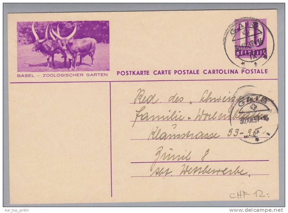 Motiv Tiere Kühe Zoo Basel Bildpostkarte 1939 - Vaches