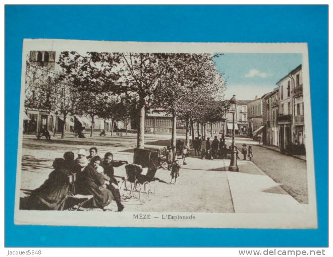 34) Mèze - L'esplanade - Année 1936-  EDIT - - Mèze