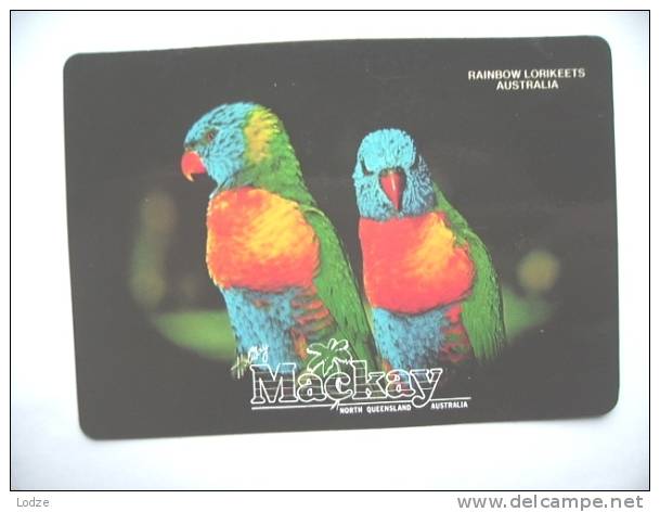 Australië Australia QLD Mackay Rainbow Lorikeets - Autres & Non Classés