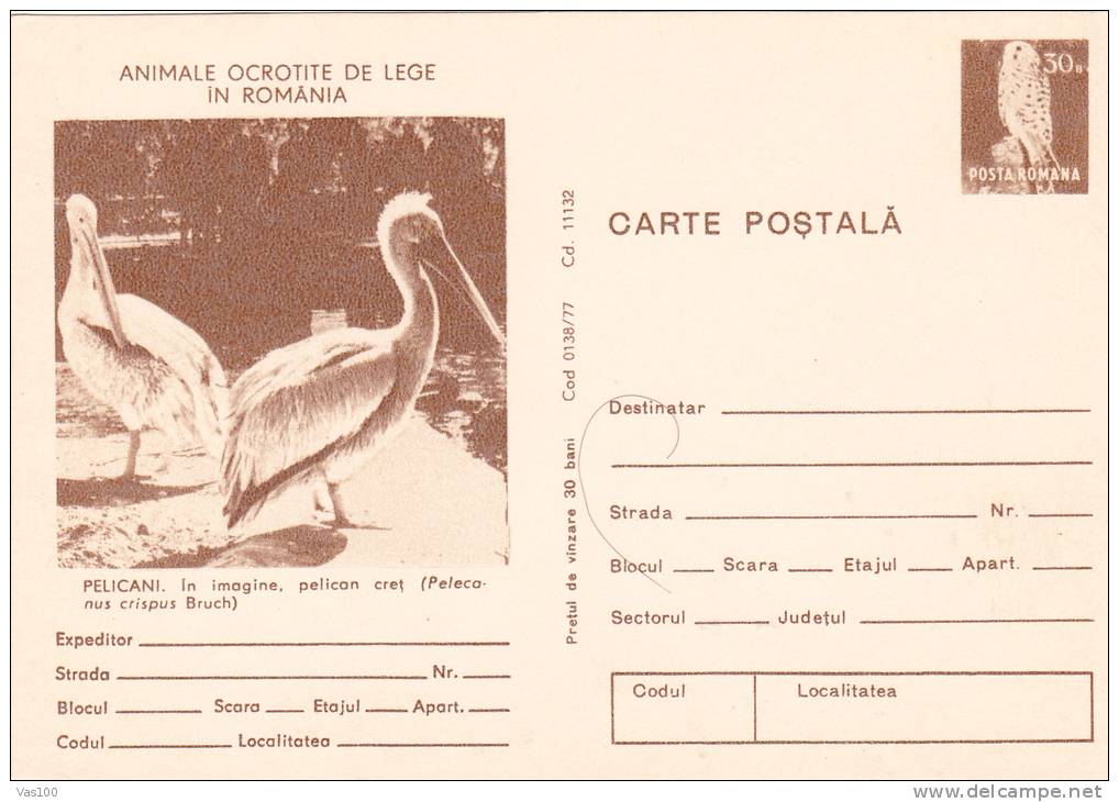 PELICANS, 1977, CARD STATIONERY, ENTIER POSTAL, UNUSED, ROMANIA - Pelikane