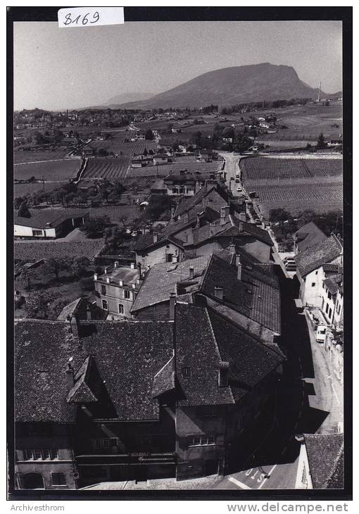 Auvernier  - Montagne De Boudry - Mont Aubert : Vers 1980 ; Grand Format 10 / 15 (8169) - Boudry