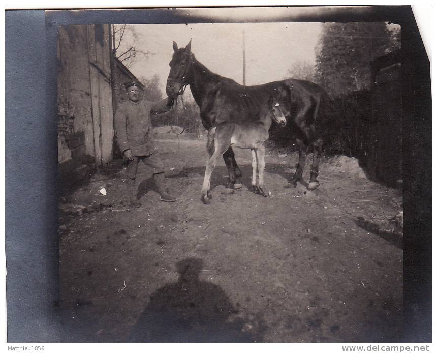 Photo Avril 1917 CHATEAU-PORCIEN - Un Soldat Allemand Avec Un Cheval Et Un Poulain (A8, Ww1, Wk1) - Chateau Porcien