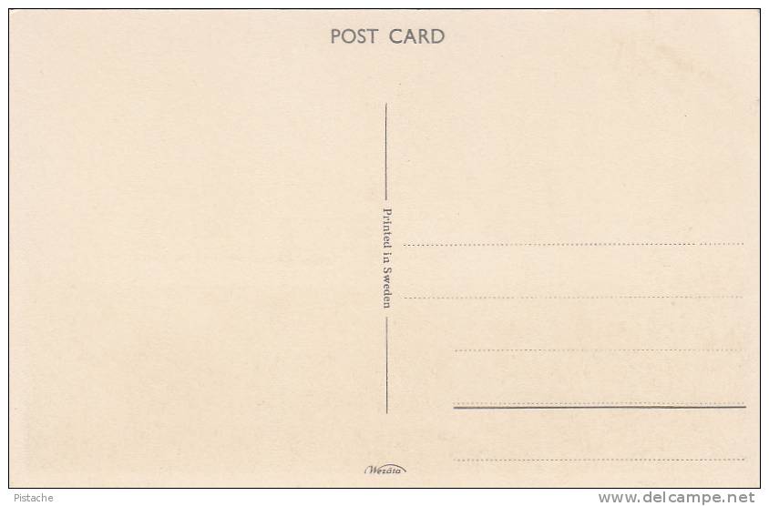 S/S Patricia - Swedish Lloyd - Bateau Paquebot Boat Ship Liner - 2 Scans - VG Condition - Steamers