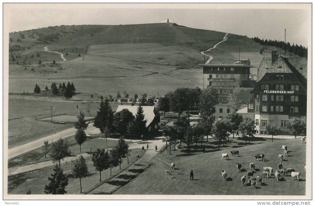 ALLEMAGNE - FELDBERG - Hotel FELDBERGERHOF - Feldberg