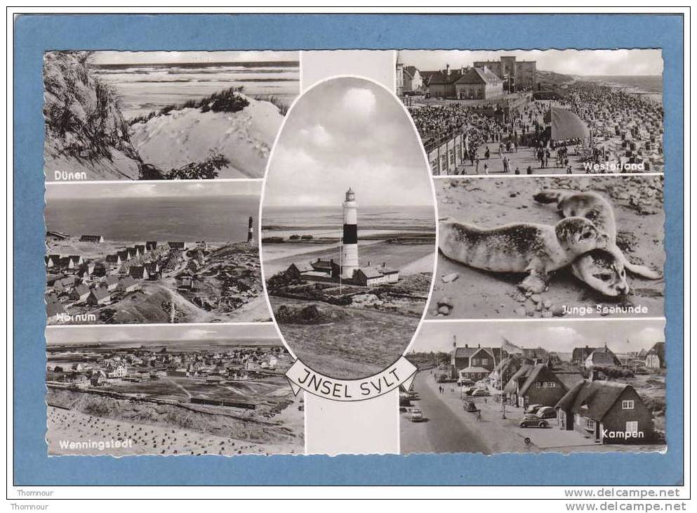 INSEL  SYLT  -  7 VUES  -  BELLE CARTE SM D PHOTO  - - Sylt