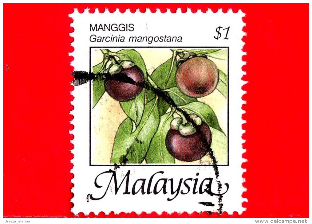 MALESIA - MALAYSIA - Usato - 2005 - Frutti Tropicali - Garcinia Mangostana - 1 - Malaysia (1964-...)