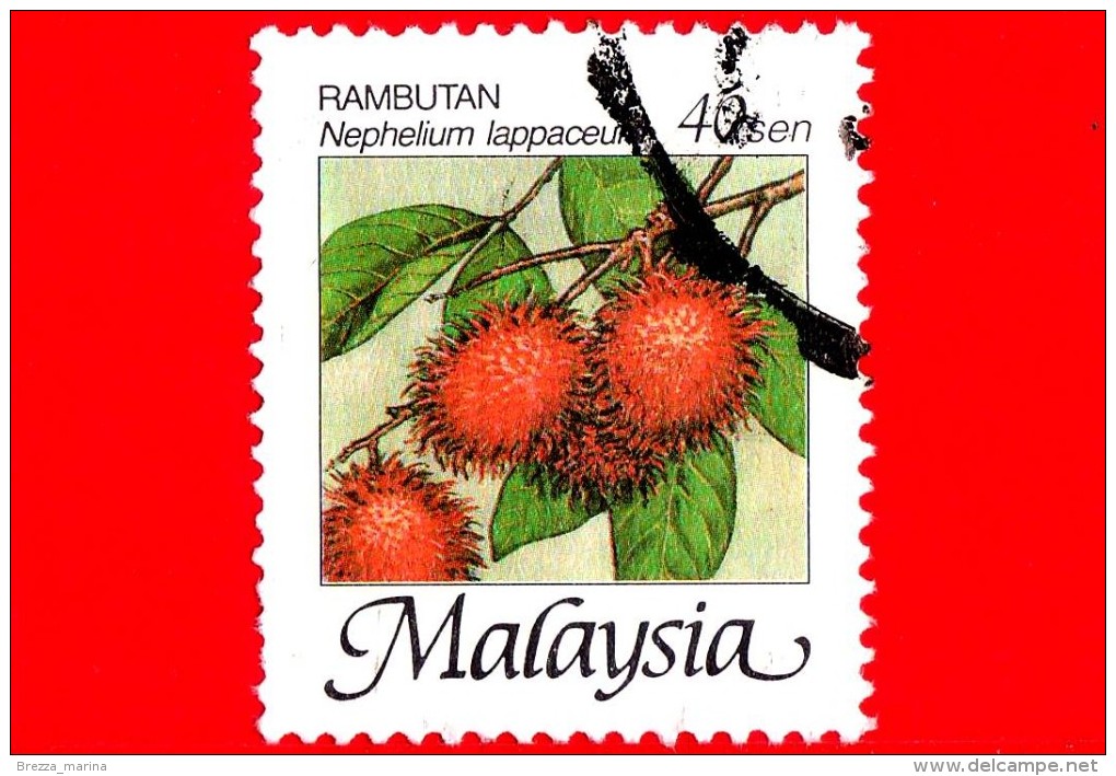 MALESIA - MALAYSIA - Usato - 2002 - Frutti Tropicali - Nephelium Lappaceum - 40 - Malesia (1964-...)