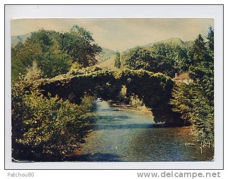 64   St ETIENNE - DE - BAÏGORRY   Vieux Pont En Dos D'âne Enjambant La Nive    -- V231 - Saint Etienne De Baigorry