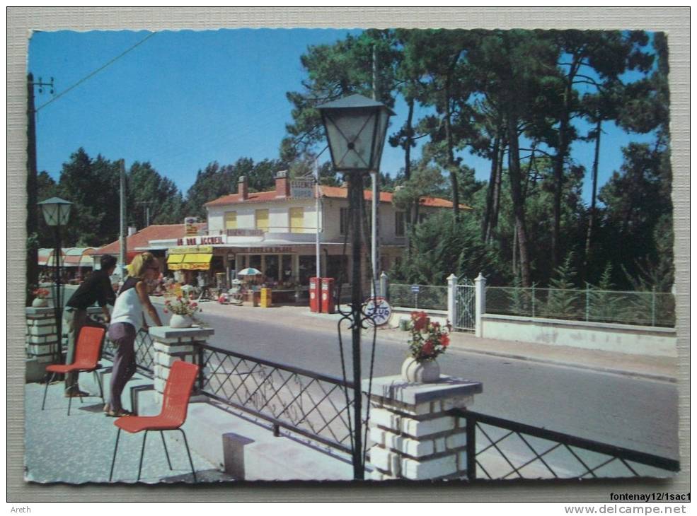 LA TRANCHE SUR MER - La Grière - L'avenue Des Pins - Recto/verso - La Tranche Sur Mer