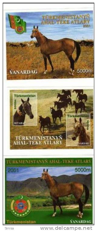 Turkmenistan / Animals / Horses - Turkmenistan