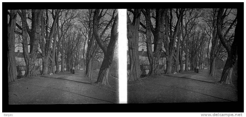 Belle Plaque Stereo Début De Siècle Tongres Tongeren - Glasdias