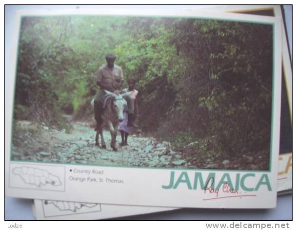 Jamaica Country Road With Donkey - Jamaica