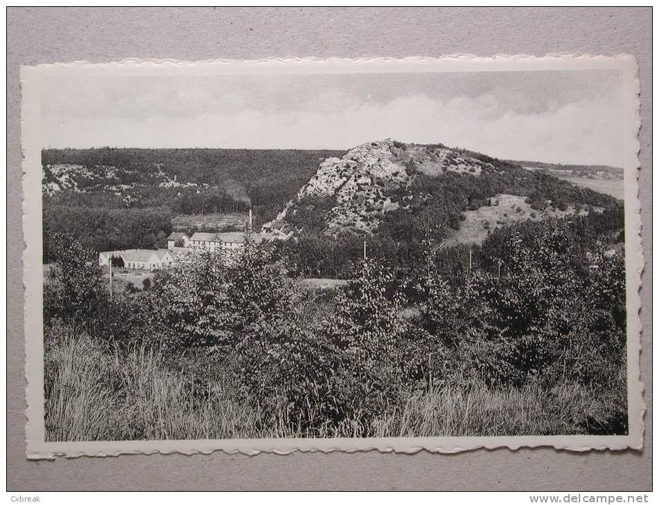 Nismes, La Roche à Lomme, Vue Du Tienne Du Fourneau - Viroinval