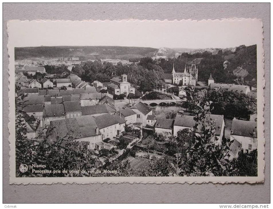 Nismes, Panorama Pris Du Point De Vue Du Mousty - Viroinval