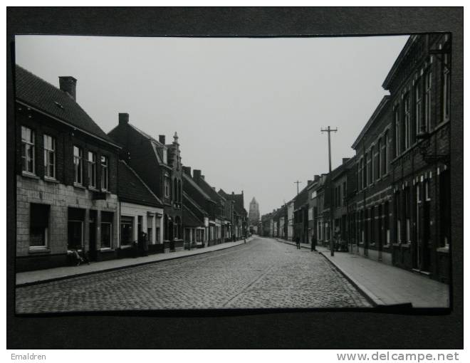 Maldegem. Repro Noordstraat. - Maldegem