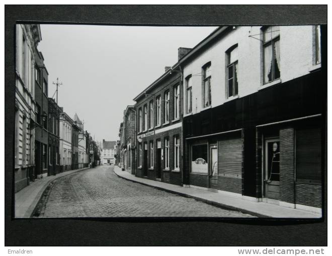 Maldegem. Repro Statiestraat. - Maldegem