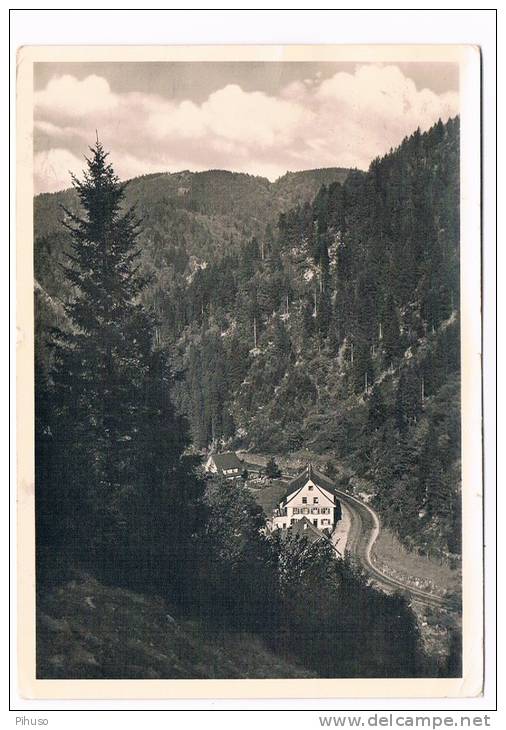 D2773    GREMMELSBACH ? TRIBERG : Gasthaus Pension Forelle - Triberg