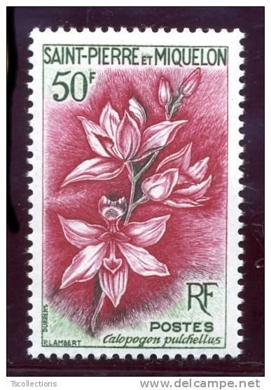 Saint Pierre Et Miquelon N°363 Calopogon Pulchellus - Nuevos