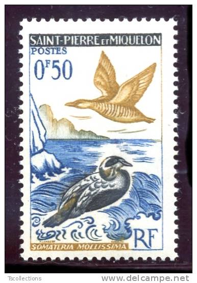 Saint Pierre Et Miquelon N°364 Oiseaux : Eider - Neufs